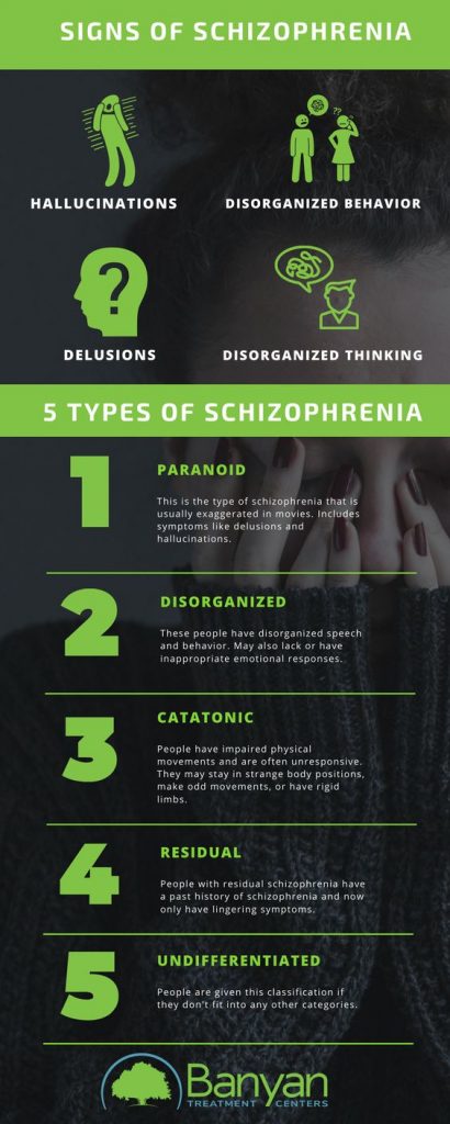 What Are The Different Types Of Schizophrenia Banyan Treatment 9084