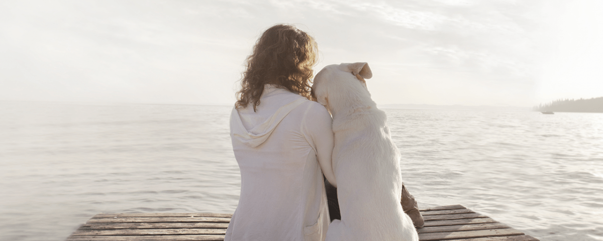 Best Emotional Support Animals for Mental Health